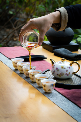 薄胎玉瓷珐琅彩茶器《皮球花茶壶》